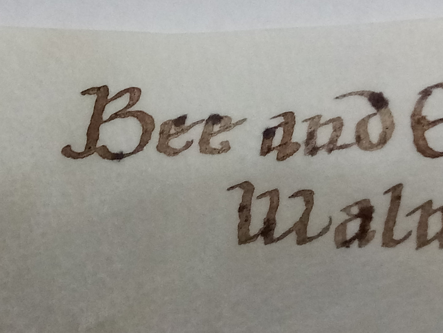 Artist Quality Walnut Ink