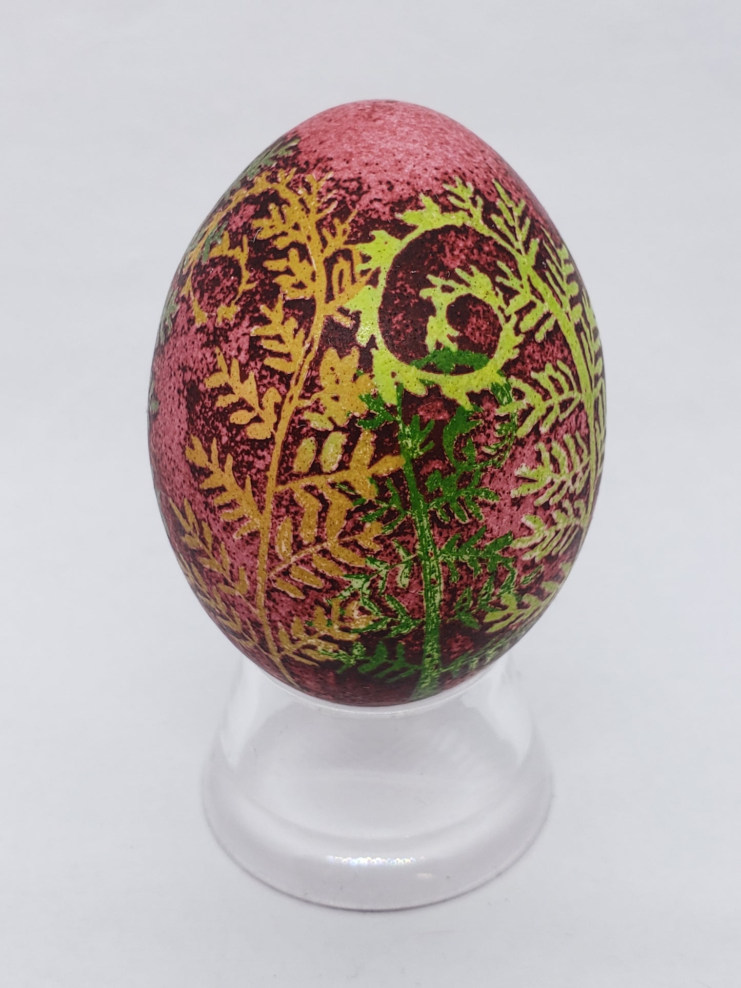Fiddlehead Fern Pysanka